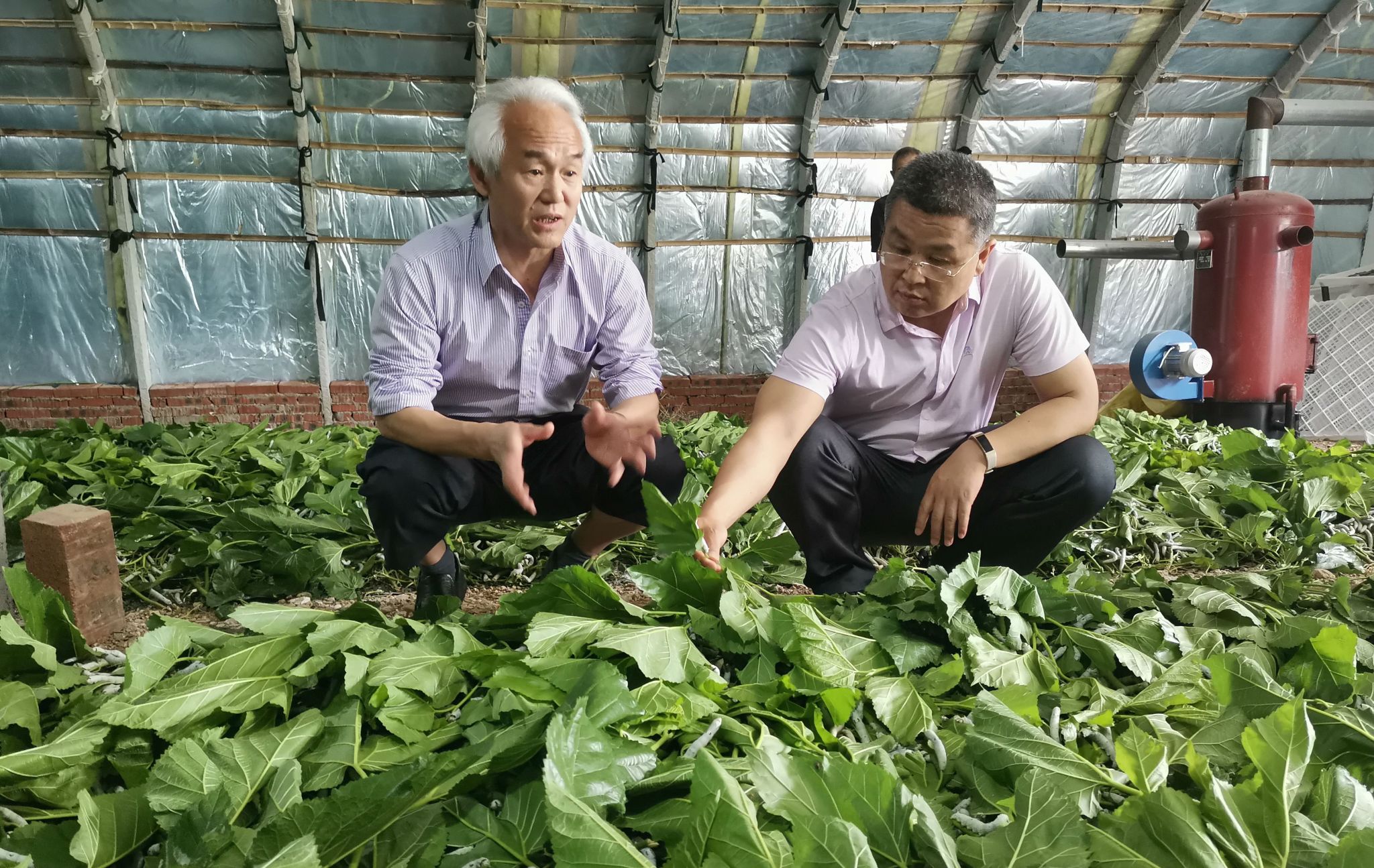 鲁成教授荣获“为全面建成小康社会作贡献”先进个人殊荣2.jpg