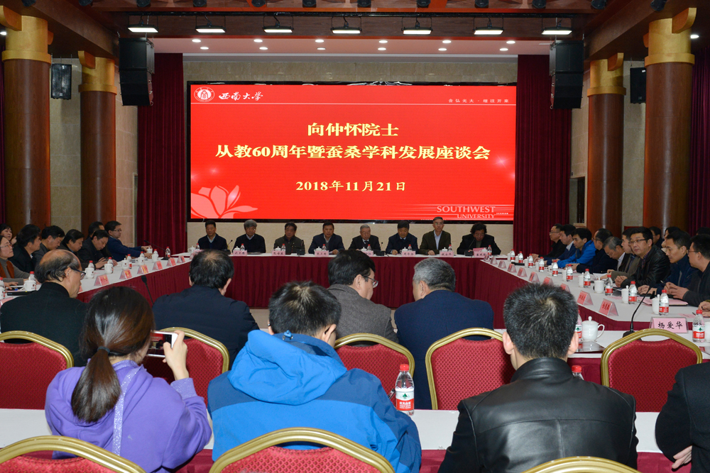 1场景图.JPG